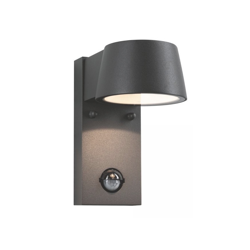 Paulmann 94453 - LED/6W IP44 Āra sienas gaismeklis ar sensoru CAPEA 230V