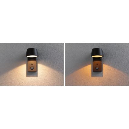 Paulmann 94714 - LED/6W IP44 Āra sienas lampa ar sensoru CAPERA 230V 2200/3000K