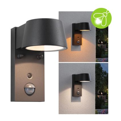 Paulmann 94714 - LED/6W IP44 Āra sienas lampa ar sensoru CAPERA 230V 2200/3000K