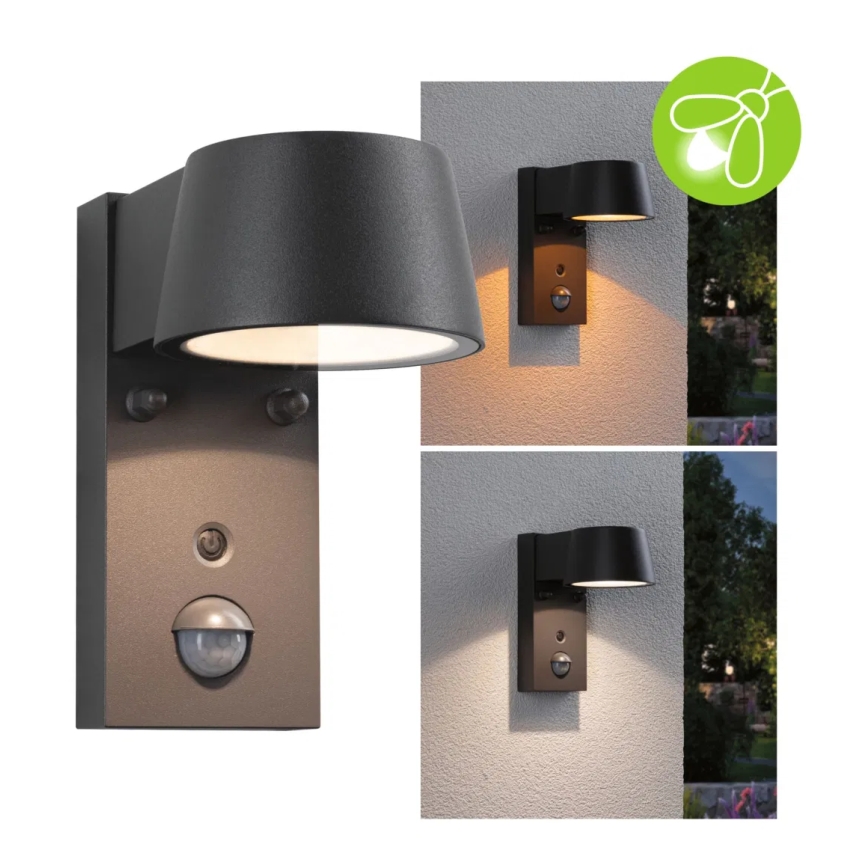 Paulmann 94714 - LED/6W IP44 Āra sienas lampa ar sensoru CAPERA 230V 2200/3000K