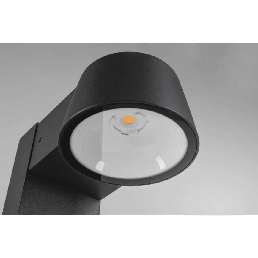 Paulmann 94715 - LED/6W IP44 Āra lampa CAPERA 230V