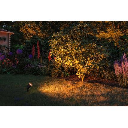 Paulmann 94731 - LED/4,3W IP65 Āra lampa SPOT 230V