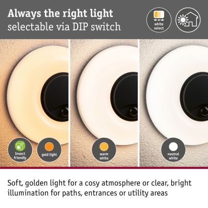 Paulmann 94956 - LED/20,5W IP65 Regulējams āra sienas gaismeklis ar kustības un krēslas sensoru AUREVA 230V 2200/3000/4000K antracīts