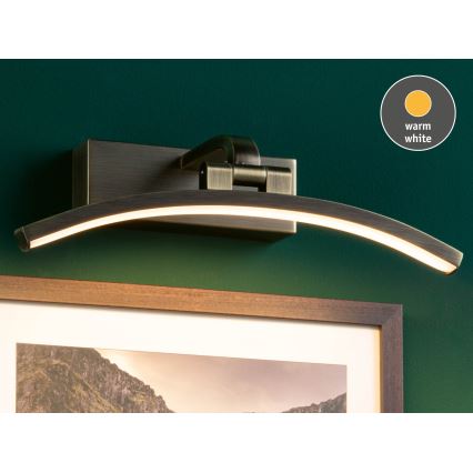 Paulmann 95559 - LED/6W BENTO gleznu gaismeklis, 230 V, 30 cm, misiņš