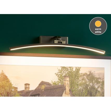 Paulmann 95561 - LED/10W gleznu apgaismotājs BENTO 230V 50 cm misiņš
