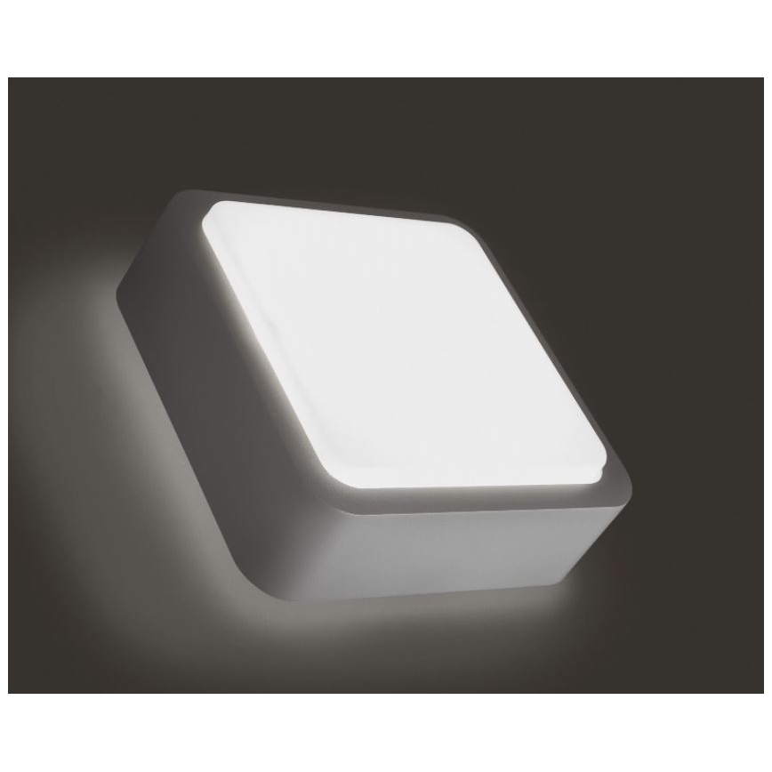 Philips 16913/87/16 - Āra Sienas Apgaismojums FLOWERBED 1xGR10Q/16W/230V