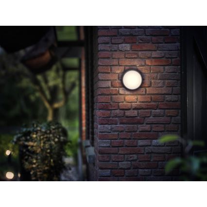 Philips - LED Āra gaismeklis LED/3,5W IP44