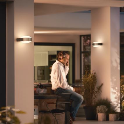 Philips - Āra sienas gaismeklis E27/42W IP44