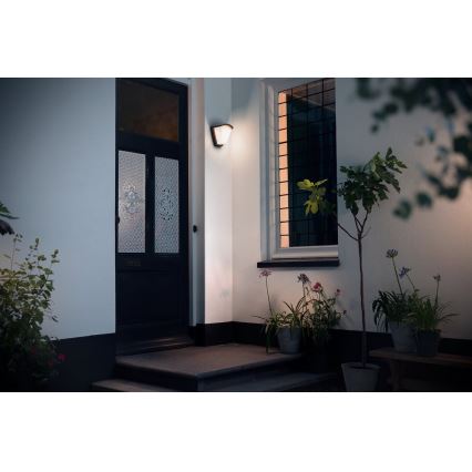 Philips 17383/93/PN - Āra sienas gaismeklis KISKADEE 1xE27/42W/230V IP44