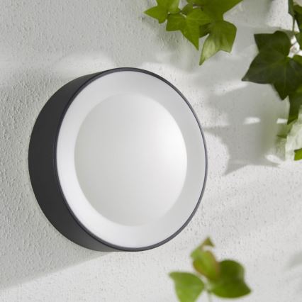 Philips - LED RGBW Aptumšojama āra sienas lampa Hue DAYLO LED/15W/230V 2000-6500K IP44