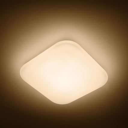 Philips - LED Griestu gaismeklis 1xLED/17W/230V 2,700K