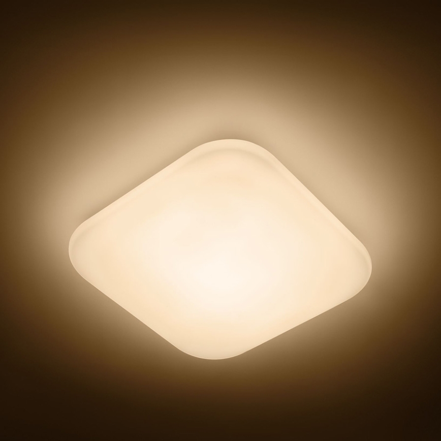 Philips - LED griestu gaismeklis LED/17W/230V 2700K