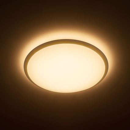 Philips - LED Griestu gaismeklis 1xLED/17W/230V