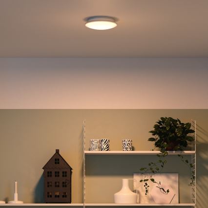 Philips - Griestu lampa LED/10W/230V
