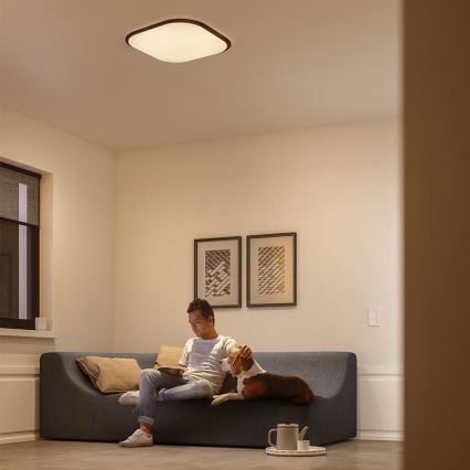 Philips - LED Aptumšojams griestu gaismeklis LED/18W/230V