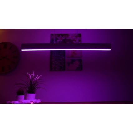 Philips – LED Lustra ar auklu Hue ENSIS White And Colour Ambiance 2×LED/39W/230V