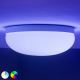 Philips - LED RGBW Aptumšojama griestu lampa Hue FLOURISH White And Color Ambiance LED/32W/230V