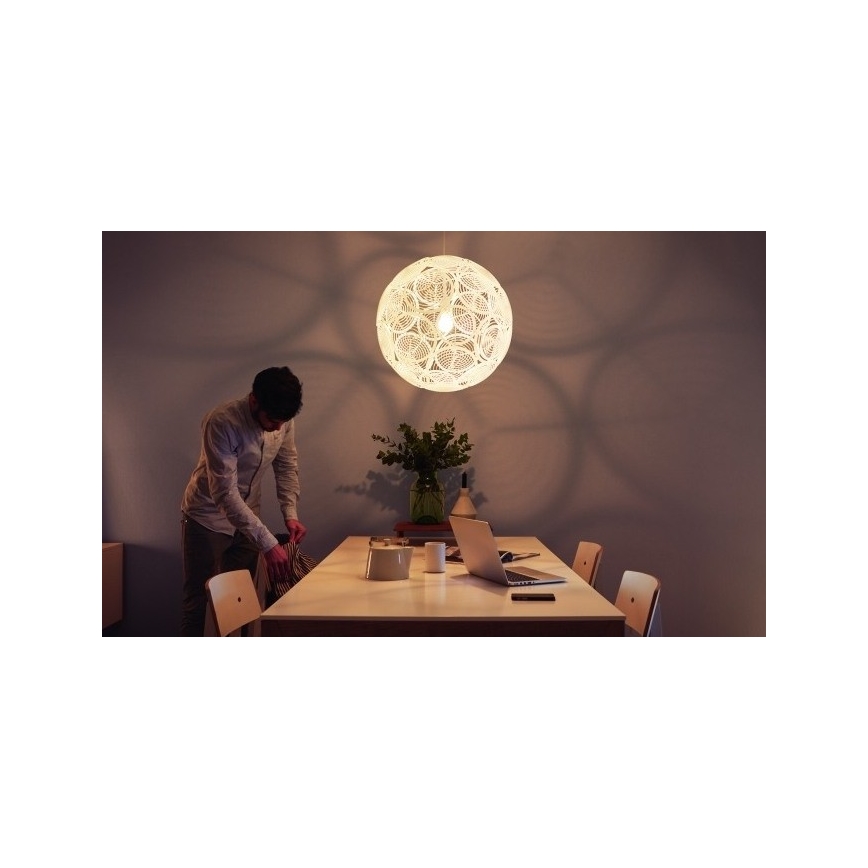 Philips - Griestu piekarama lampa E27/60W/230V