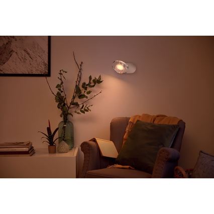 Philips - LED Aptumšojams starmetis 1xLED/4,5W/230V