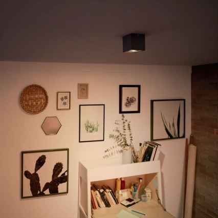 Philips - Aptumšojams LED spot gaismeklis LED/4,5W/230V