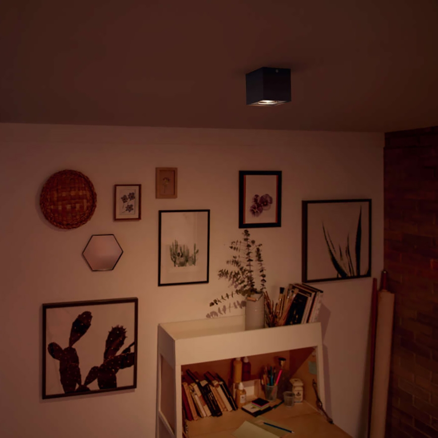 Philips - Aptumšojams LED spot gaismeklis LED/4,5W/230V