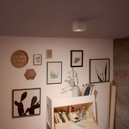 Philips - LED regulējams prožektors LED/4,5W/230V