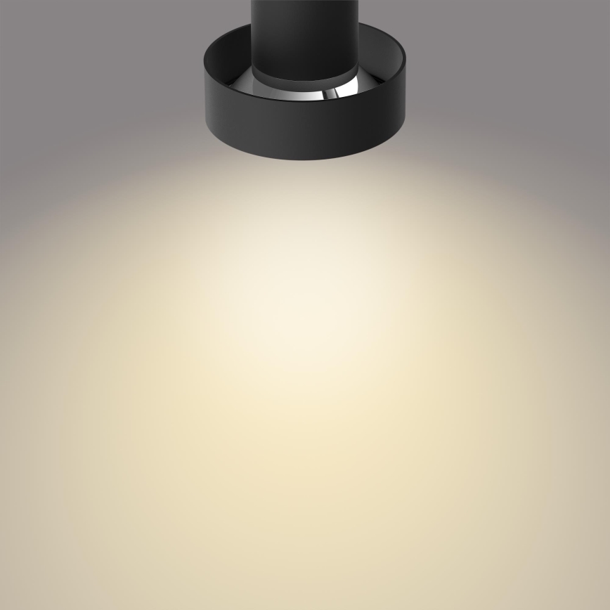 Philips 50602/30/P0 - LED Aptumšojams starmetis BUKKO 2xLED/4,5W/230V
