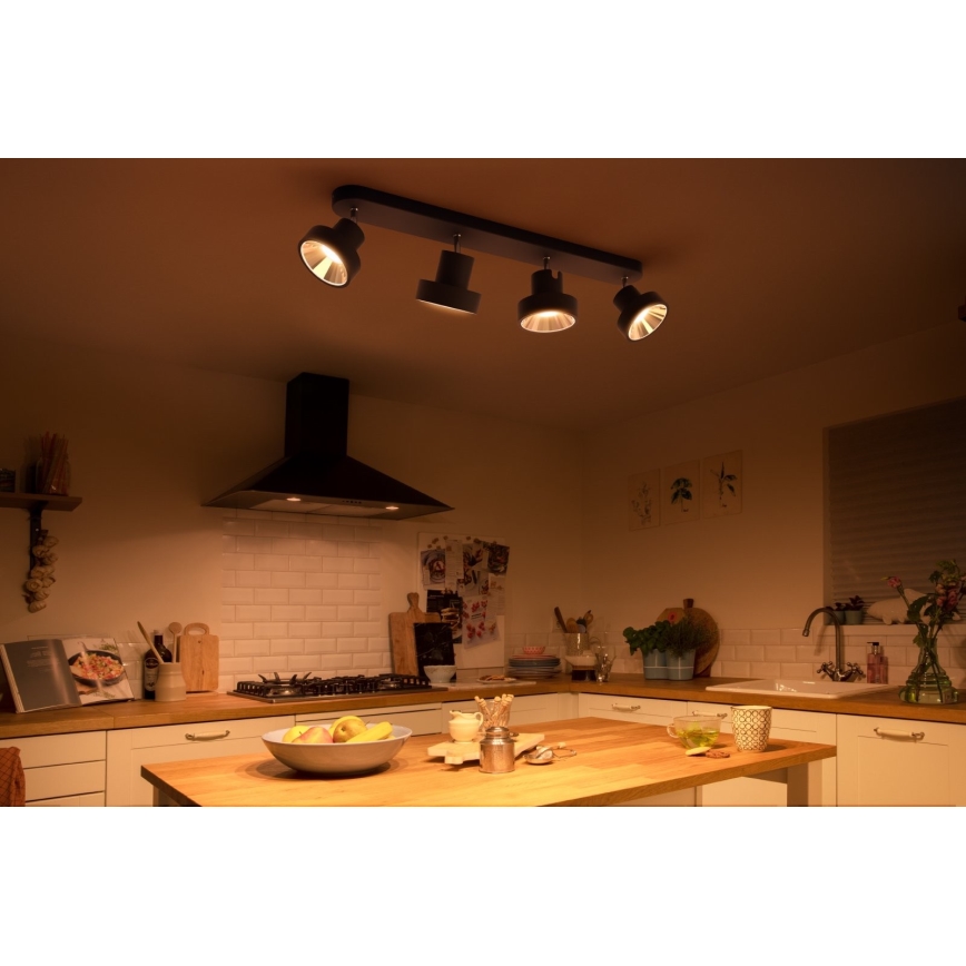 Philips 50604/30/P0 - LED Starmetis BUKKO 4xLED/4,3W/230V