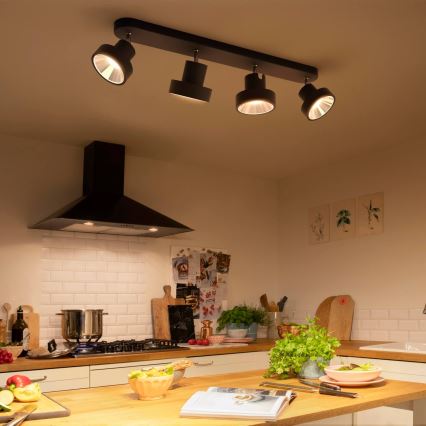 Philips 50604/30/P0 - LED Starmetis BUKKO 4xLED/4,3W/230V