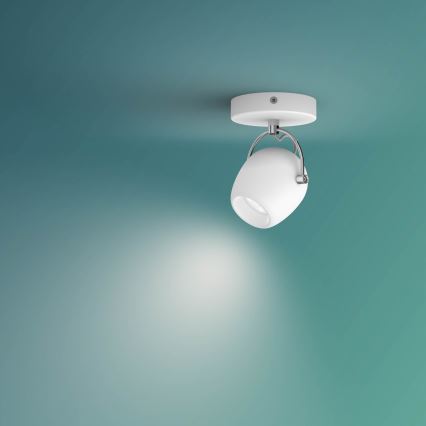 Philips 50611/31/P0 - LED Starmetis RIVANO LED/4,3W/230V