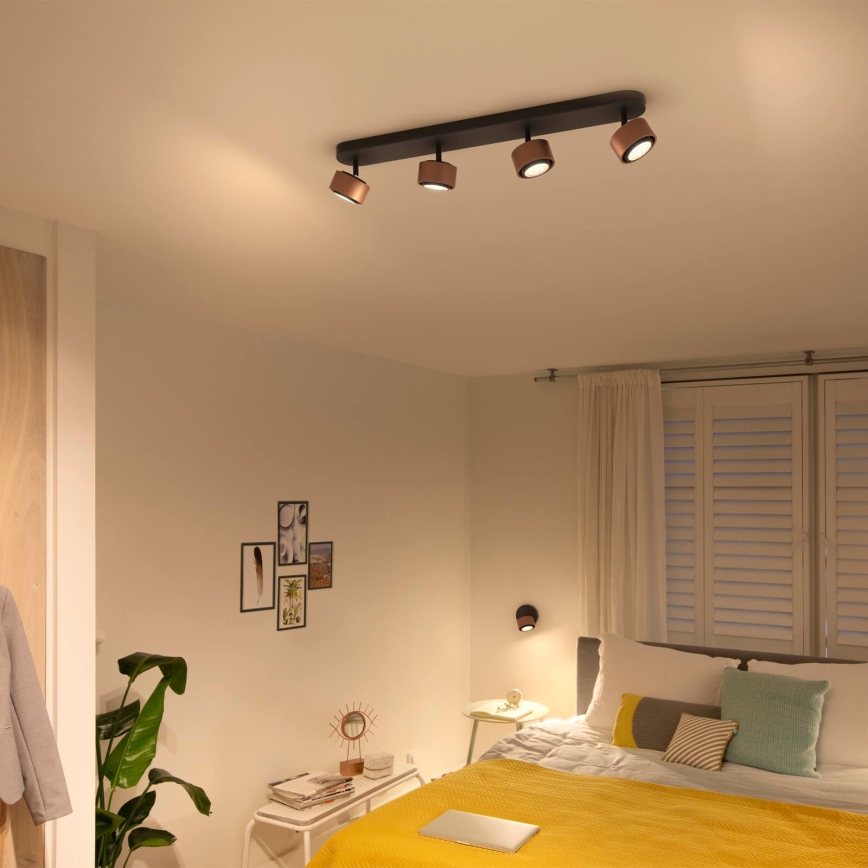 Philips 50654/05/P0 - LED Starmetis  FERANO 4xLED/4,3W/230V