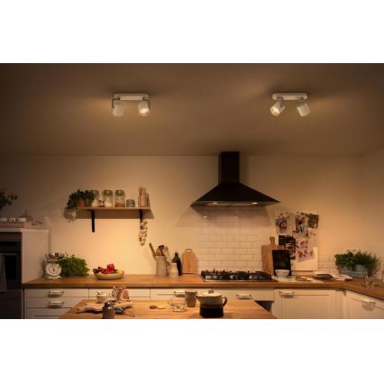 Philips - LED Aptumšojams starmetis 2xLED/4.5W/230V