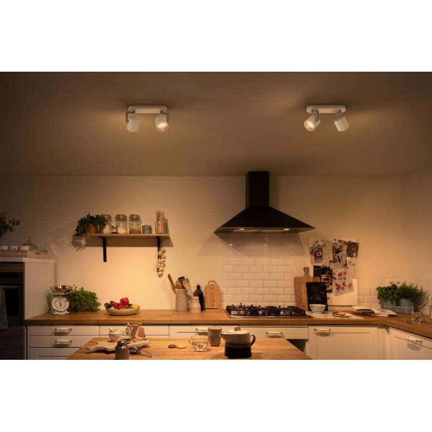 Philips - LED Aptumšojams starmetis 2xLED/4.5W/230V