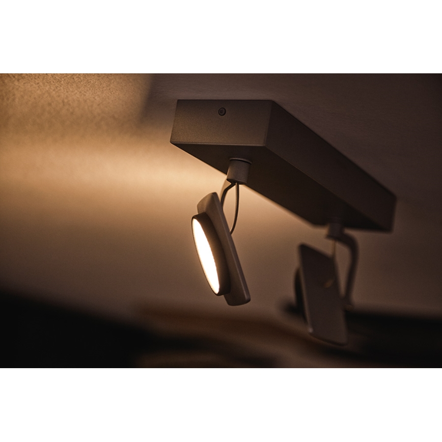 Philips 53192/48/P0 - LED lampa MILLENNIUM 2xLED/4,5W/230V