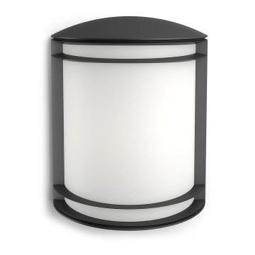 Philips - Āra sienas lampa 1xLED/6W/230V IP44
