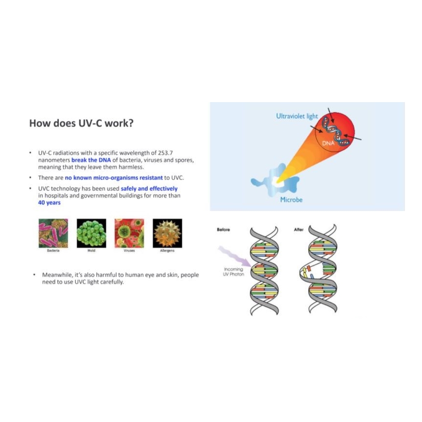 Philips - Dezinfekcijas baktericīdā lampa ar sensoru UV-C/24W/230V