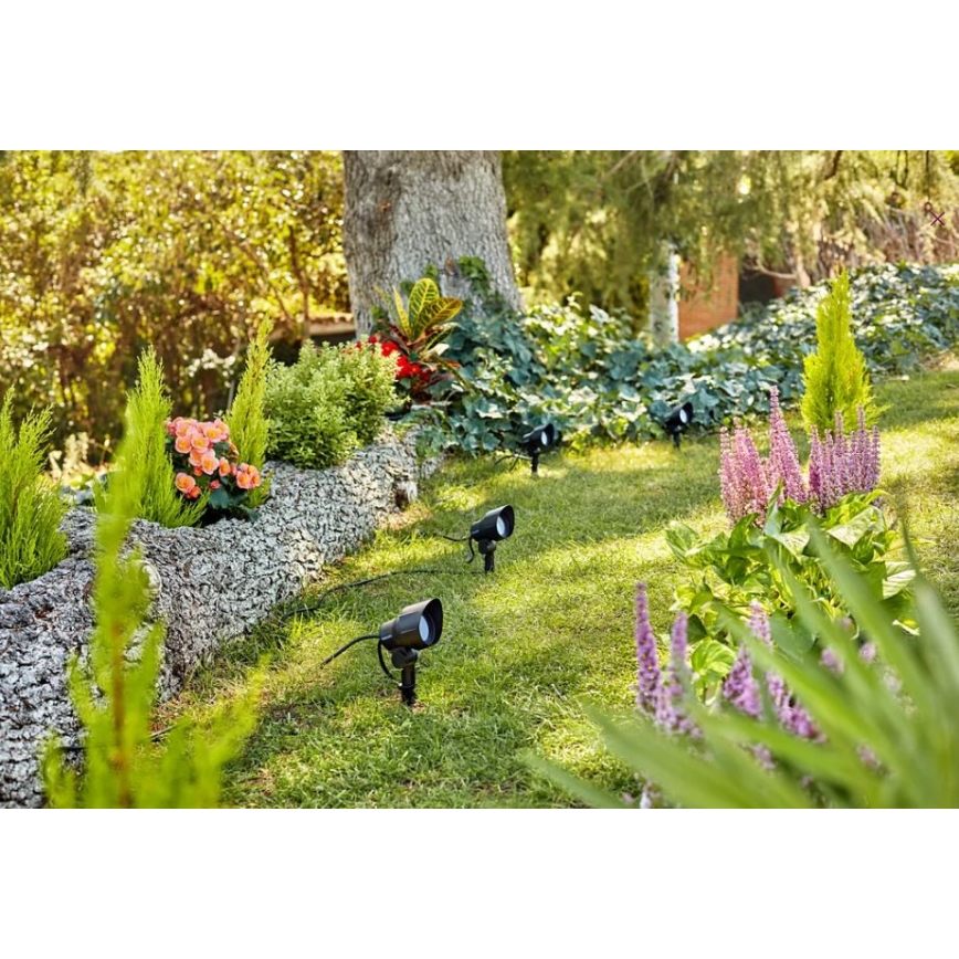 Philips - LED āra virsmas gaismeklis LED/24W/230V 2700K IP44