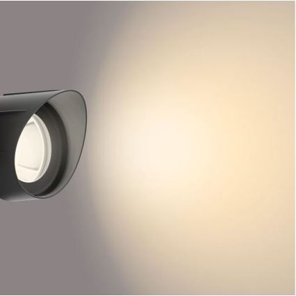 Philips - LED āra virsmas gaismeklis LED/24W/230V 2700K IP44