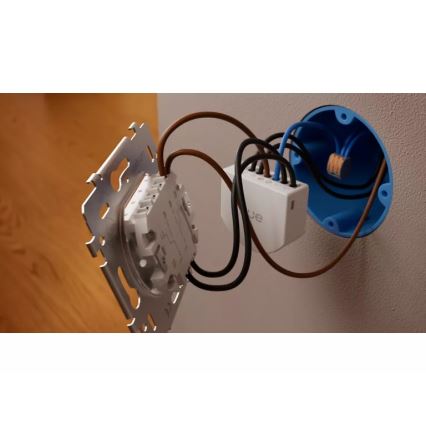 Philips - Hue sienas divu pogu slēdža modulis