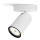 Philips - Lampa 1xGU10/5,5W/230V