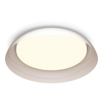 Philips - LED Aptumšojama griestu lampa FLETA SCENE SWITCH LED/10W/230V 2700K caurspīdīga