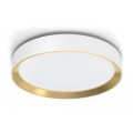 Philips - LED Aptumšojama griestu lampa HANNO LED/24W/230V 2700K balta