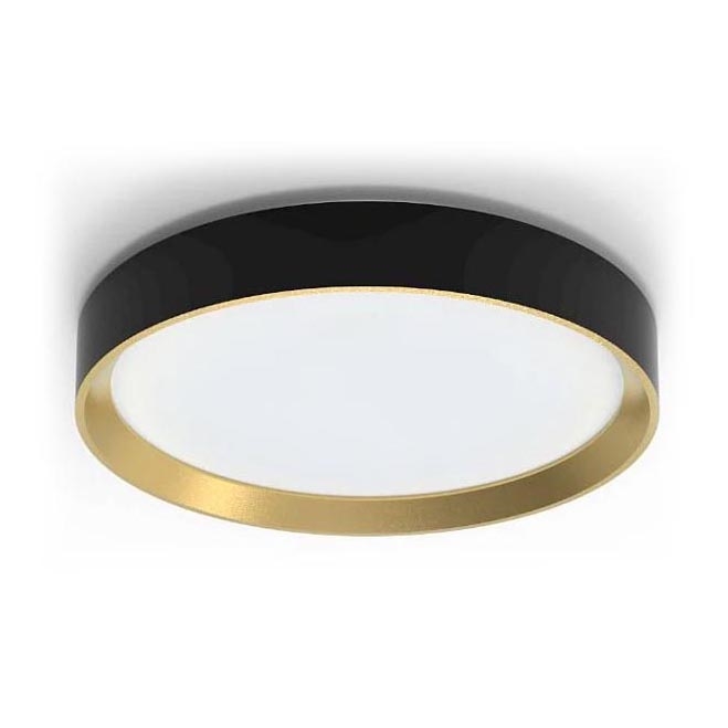 Philips - LED Aptumšojama griestu lampa HANNO LED/24W/230V 2700K melna