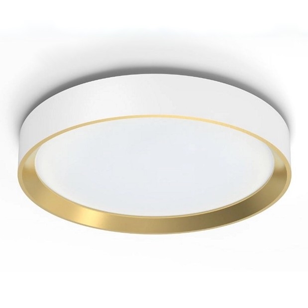 Philips - LED Aptumšojama griestu lampa HANNO SCENE SWITCH LED/24W/230V 4000K balta