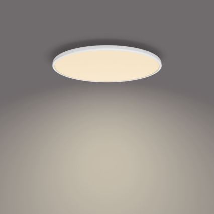 Philips - LED Aptumšojama griestu lampa SCENE SWITCH LED/36W/230V d. 50 cm 2700K balta