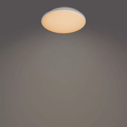 Philips - LED Aptumšojama griestu lampa LED/24W/230V 2700-6500K + tālvadības pults