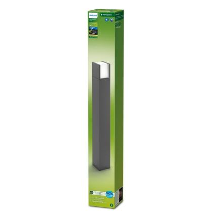 Philips - LED Āra lampa ARBOUR LED/3,8W/230V 77 cm 2700K IP44