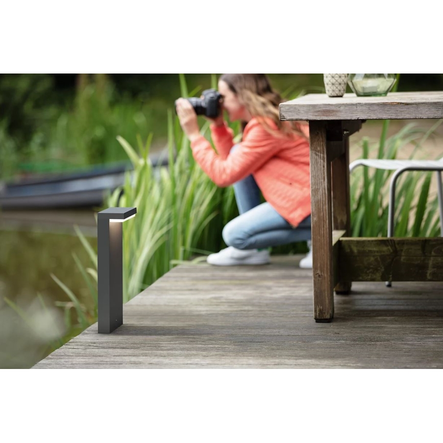 Philips - LED Āra lampa BUSTAN LED/3,8W/230V 2700K 40 cm IP44