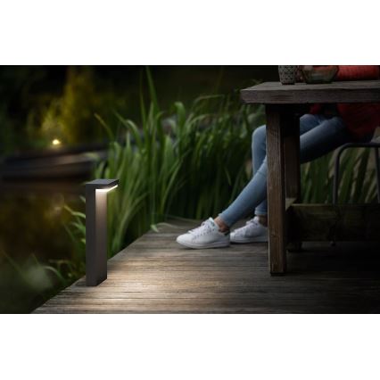 Philips - LED Āra lampa BUSTAN LED/3,8W/230V 2700K 40 cm IP44