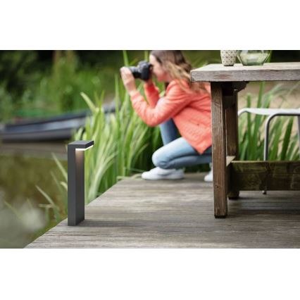 Philips - LED Āra lampa BUSTAN LED/3,8W/230V 2700K 77 cm IP44